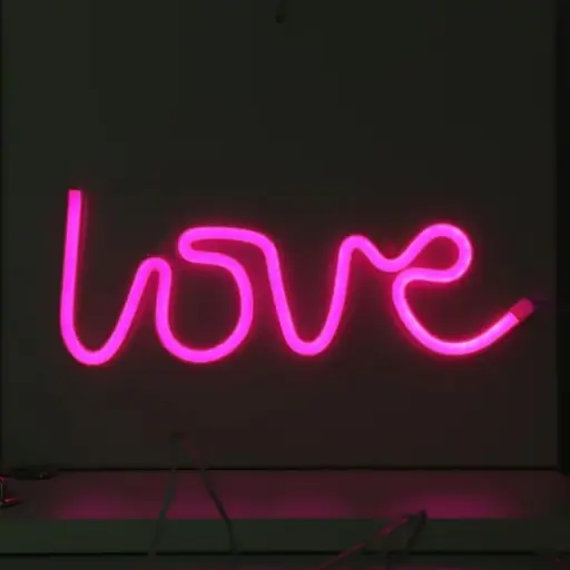 Néon "Love"